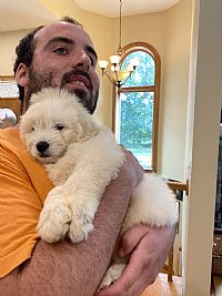 bchel66 profile photo