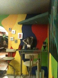 Clogan95 profile photo