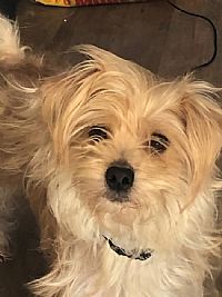 jobrien123 profile photo