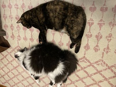 Brandys73 profile photo