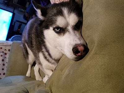 !!FlDonham! profile photo