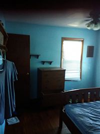 CatMan007 profile photo