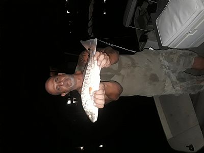 Jimbop profile photo