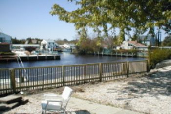 cuonthebay profile photo