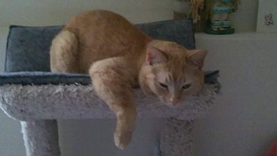 Lissmat50 profile photo