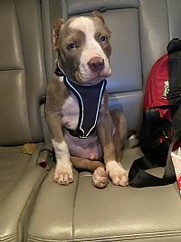 VencesRoyer profile photo