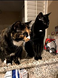 KodyAdair profile photo