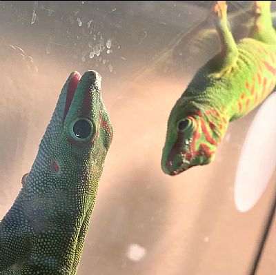 KodyAdair profile photo