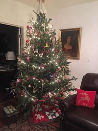 rbanebogan profile photo