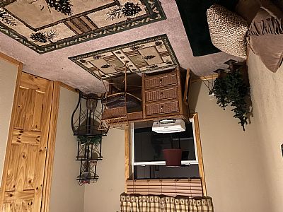 mrobinson profile photo