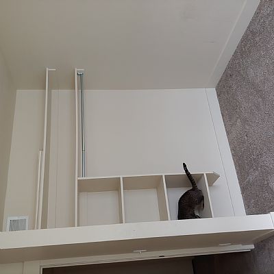 Jody Blake profile photo