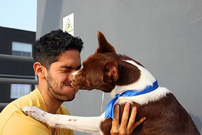 MarceloG99 profile photo