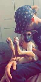 Macgyver profile photo