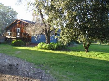 callierin profile photo