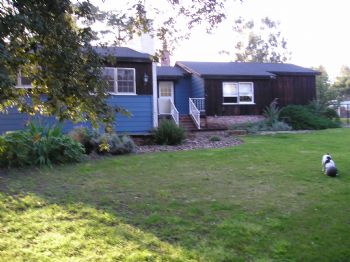 callierin profile photo