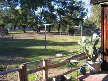 callierin profile photo