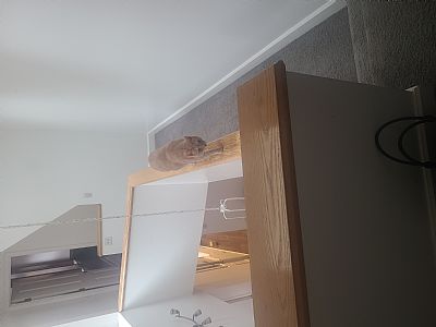 Hannahelise16 profile photo