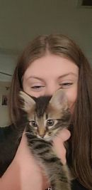 emily0345 profile photo