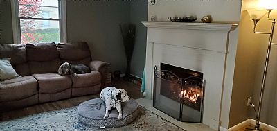 vhancock783 profile photo