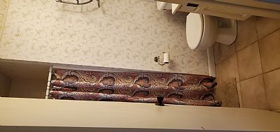 vhancock783 profile photo