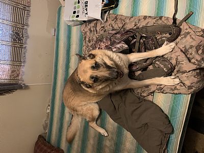 Hpayne25 profile photo