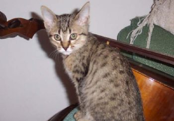 lbrunton profile photo