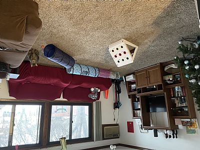 Jennayeap profile photo