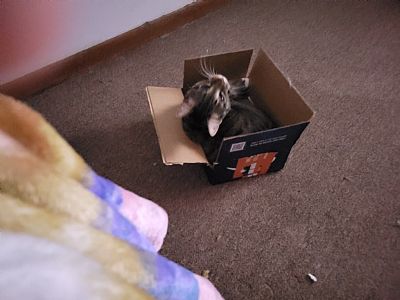 Abinnix profile photo