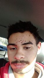 Lyndale-vet profile photo