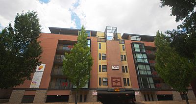 Arianacor profile photo