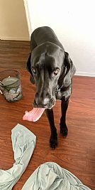 Theboredomempir profile photo