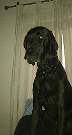 Theboredomempir profile photo