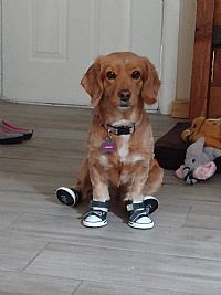 angelala profile photo