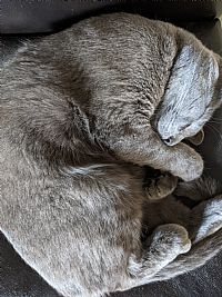 Bcwilson profile photo