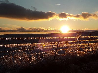 ComfyCountry profile photo