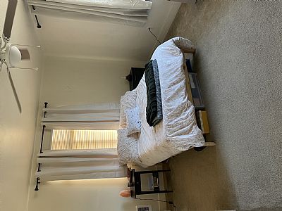 sarahshusta profile photo