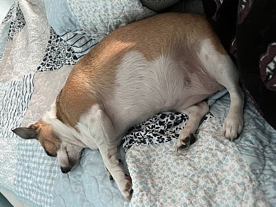 Alexjo76 profile photo