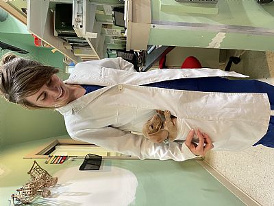 cmhonnas profile photo