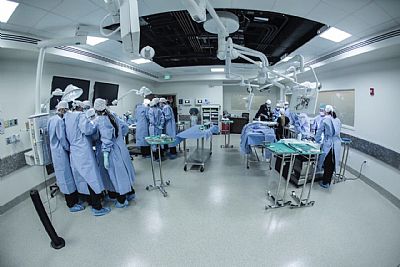 guialvares profile photo