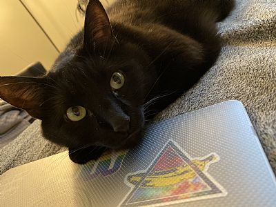 Eliandmorgue profile photo