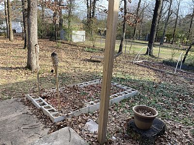 mswart175 profile photo