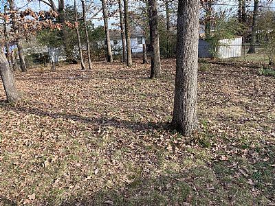 mswart175 profile photo