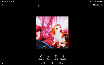 zapmanlucky profile photo