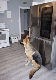 sadiec profile photo