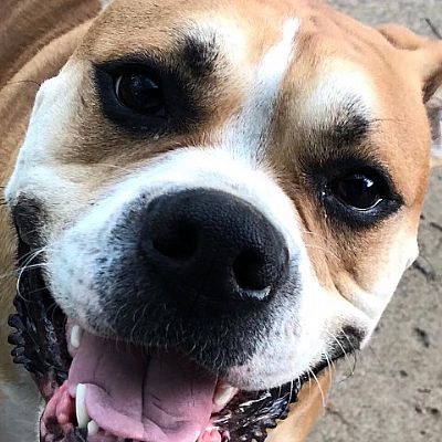 cbumster profile photo