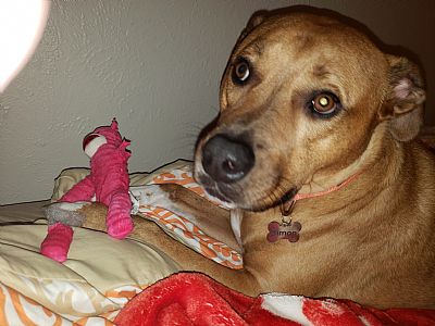 SIMON! profile photo