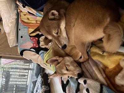 mikaelas profile photo