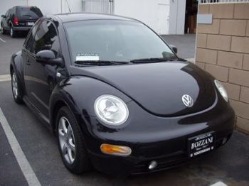 tlraven profile photo