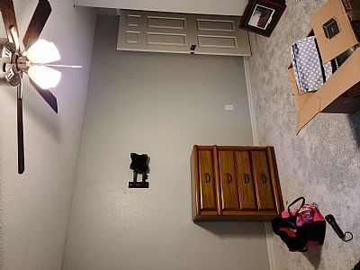 PalmTree10365 profile photo