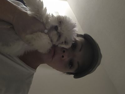 michellecarroll profile photo